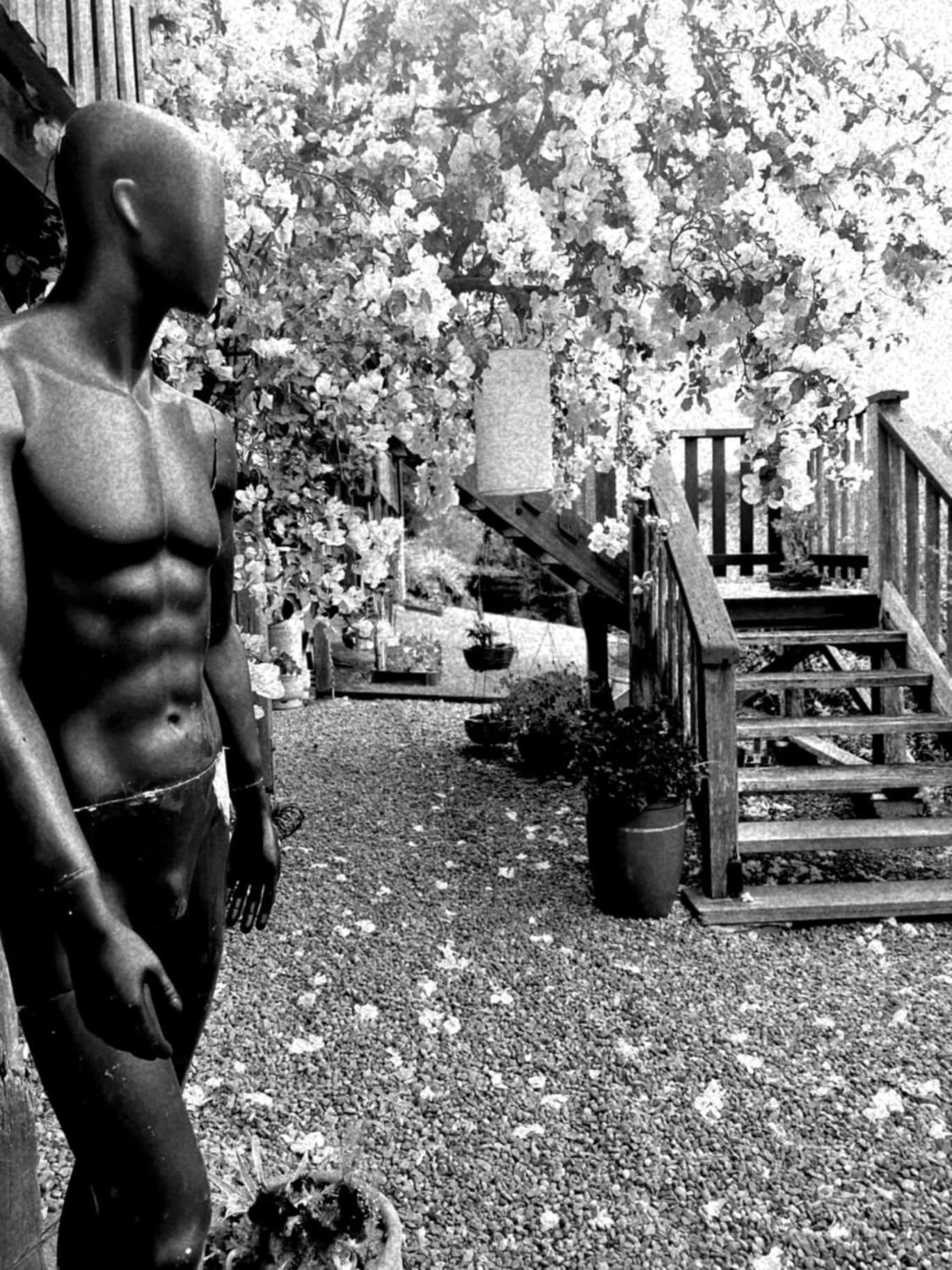 Wyndover Mountain Retreat Beechmont Exterior foto