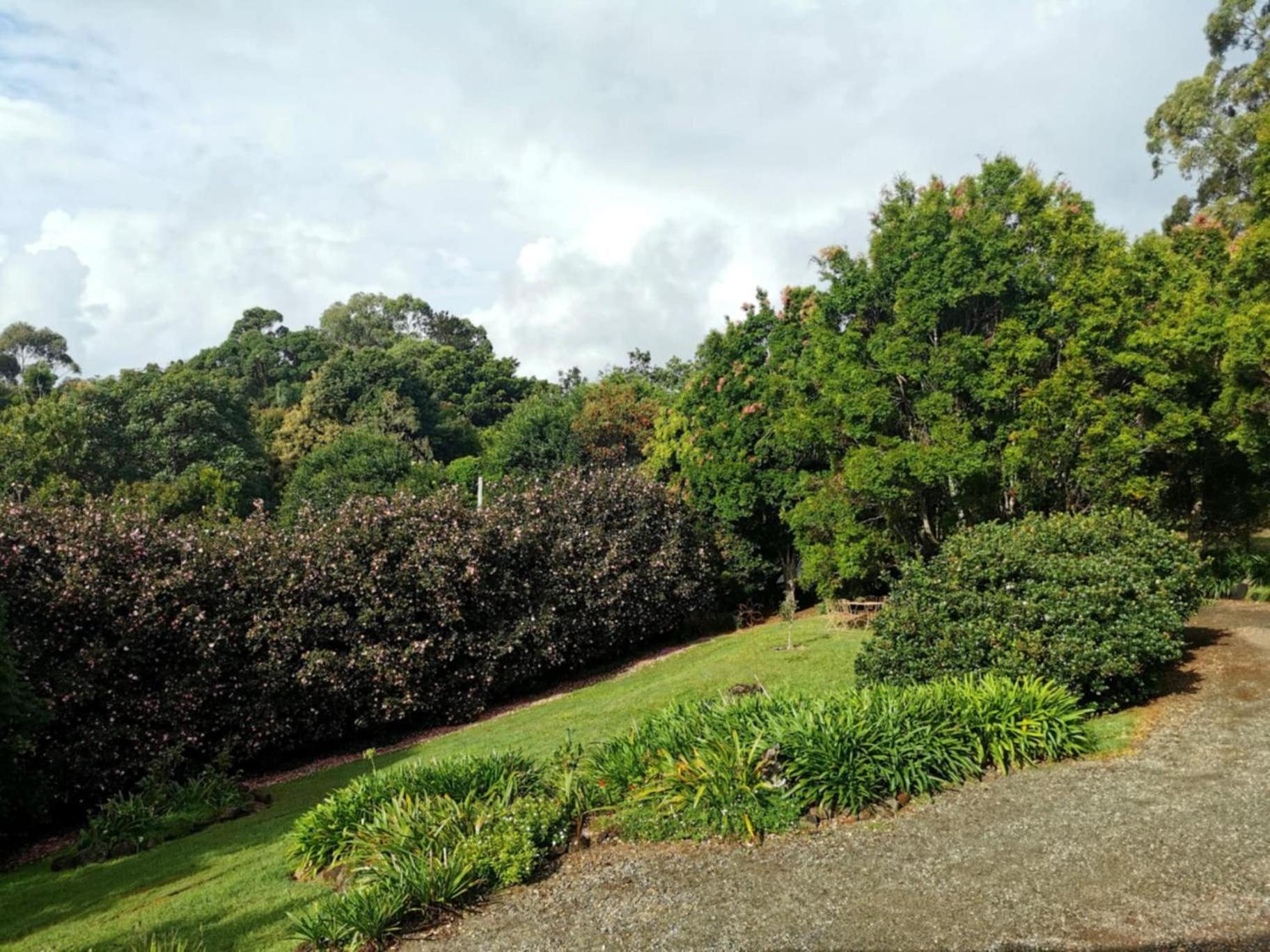 Wyndover Mountain Retreat Beechmont Exterior foto